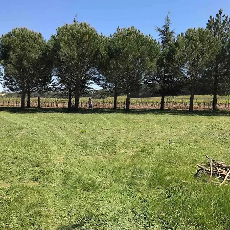 Villa avec piscine, jardin de 8000m2, cuisine extérieur à 20min de Carcassonne Villa *